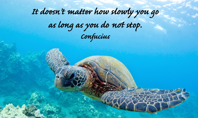 Quote Of Confucius Quotesaga